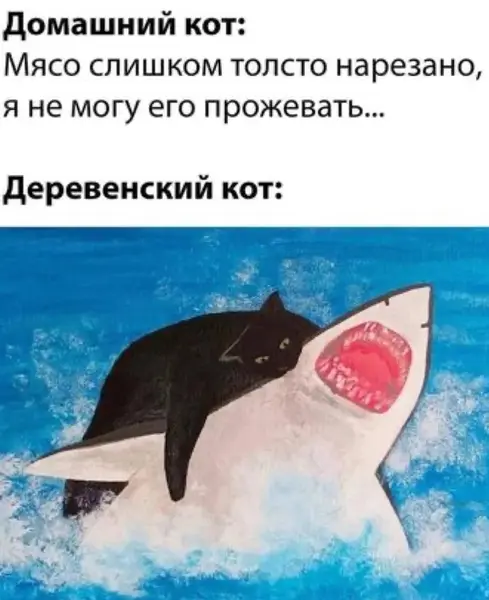 Один просит, чтоб подогрели. Другой — нападает на акулу без повода.