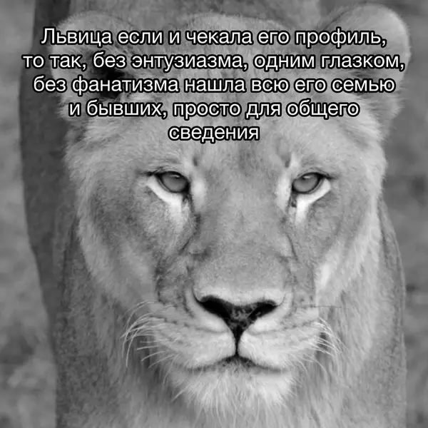 Без энтузиазма. Просто до четвёртой страницы лайков за 2015 год