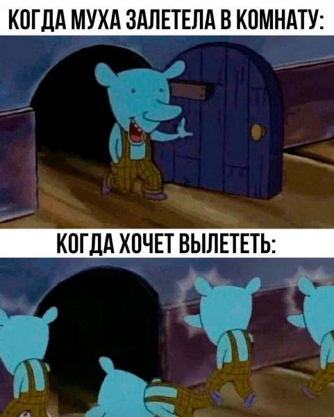 Залетела как ниндзя. Вылетает как багнутый НПС.