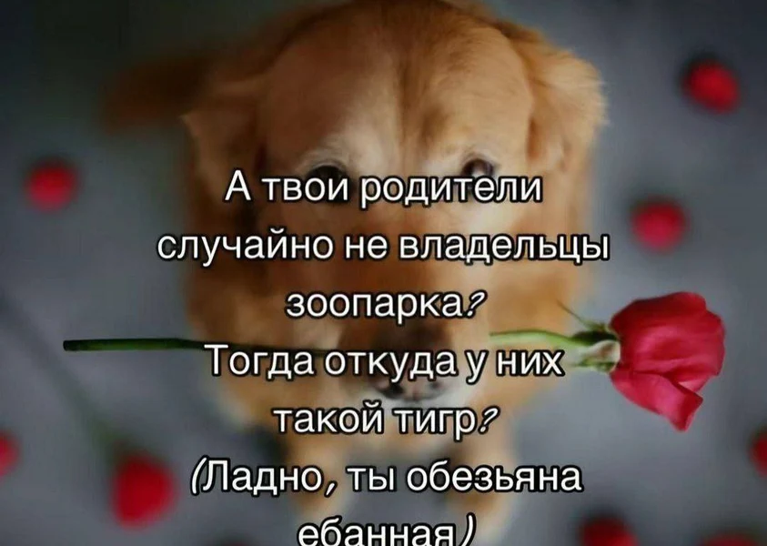 Когда хотел сделать комплимент, но вышло… как всегда.