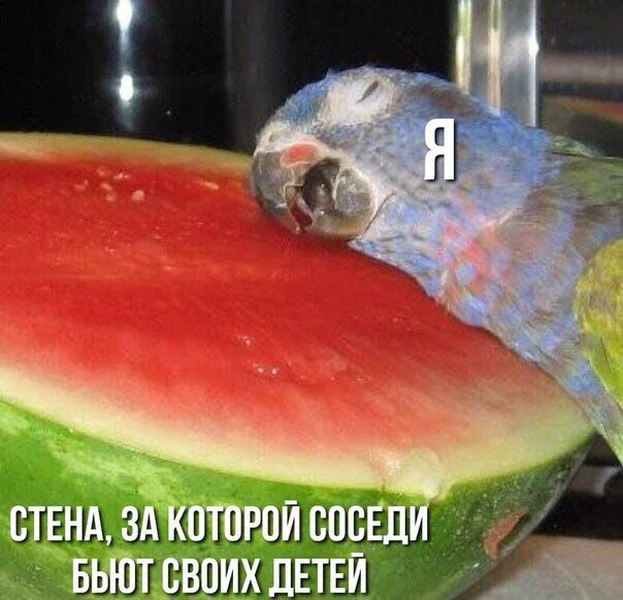 Иногда я — не участник, не свидетель, а просто кусок штукатурки.