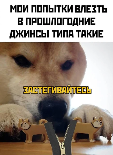 Молния страдает, джинсы в шоке, я — потею.
