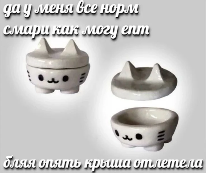 Когда пытаешься быть лапочкой, но реальность — крышеснос.