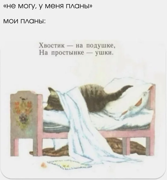Идеальный вечер — это хвостик на подушке и тишина.