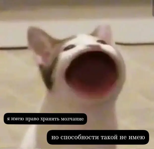 Когда знаешь, что лучше промолчать, но ты — это ты.