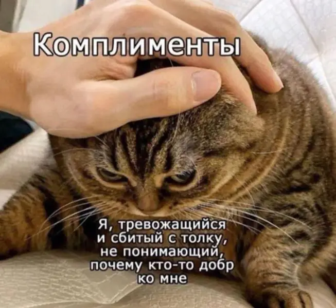 Комплименты сбивают с толку, когда ты привык ожидать подвох.
