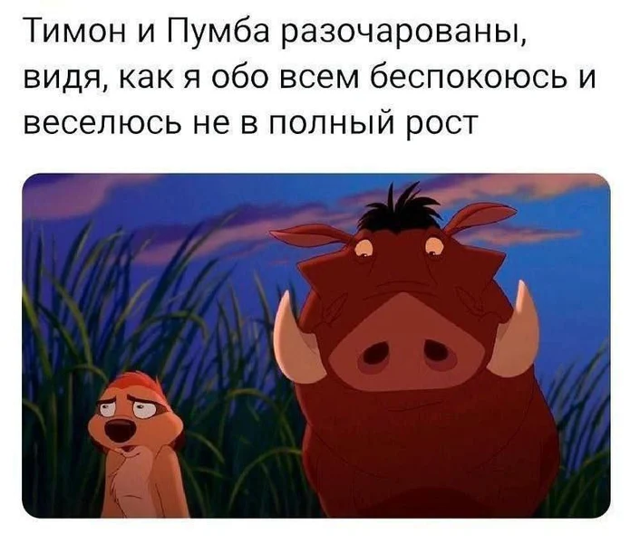 Когда тревожность мешает жить по принципу «хакуна матата»