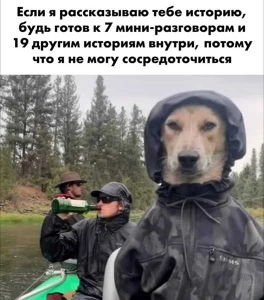 История во второй, третьей и пятнадцатой степени