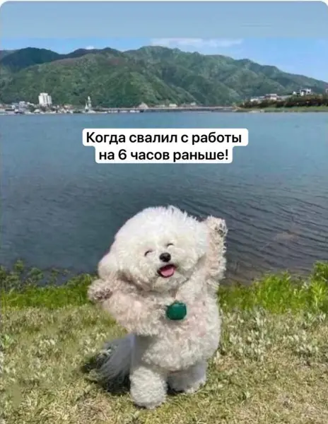 Вот так выглядит настоящее счастье, когда внезапно оказался на свободе в разгар рабочего дня.