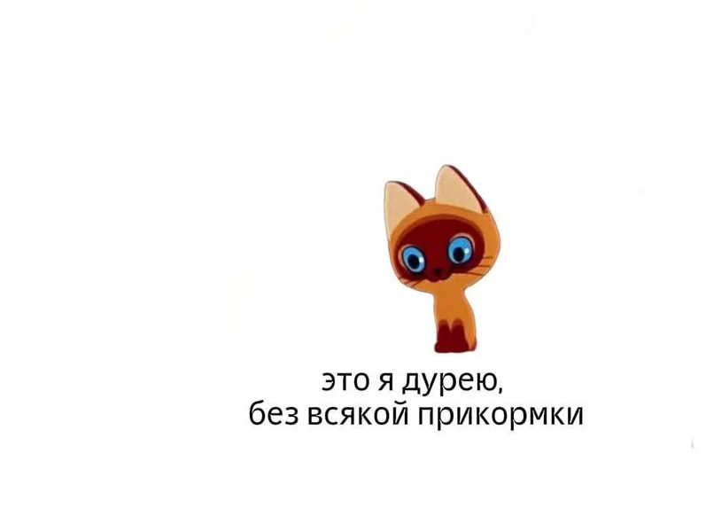 Просто я и моя дурка.