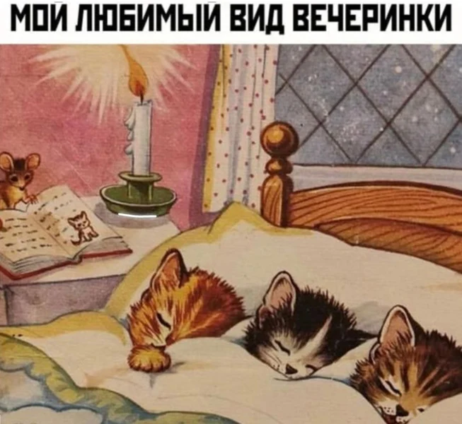 Когда идеальная тусовка — это плед, котики и сказки перед сном.