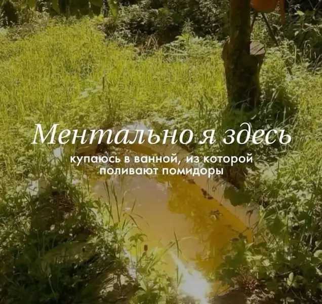 Ментально я вот в этой луже, рядом с кустом. Пожалуйста, не трогайте.