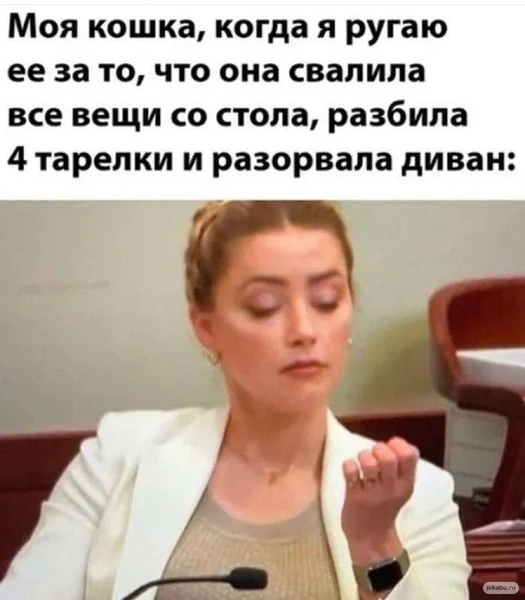 Когда кошка устроила апокалипсис в квартире, а ты для неё просто шумный фон
