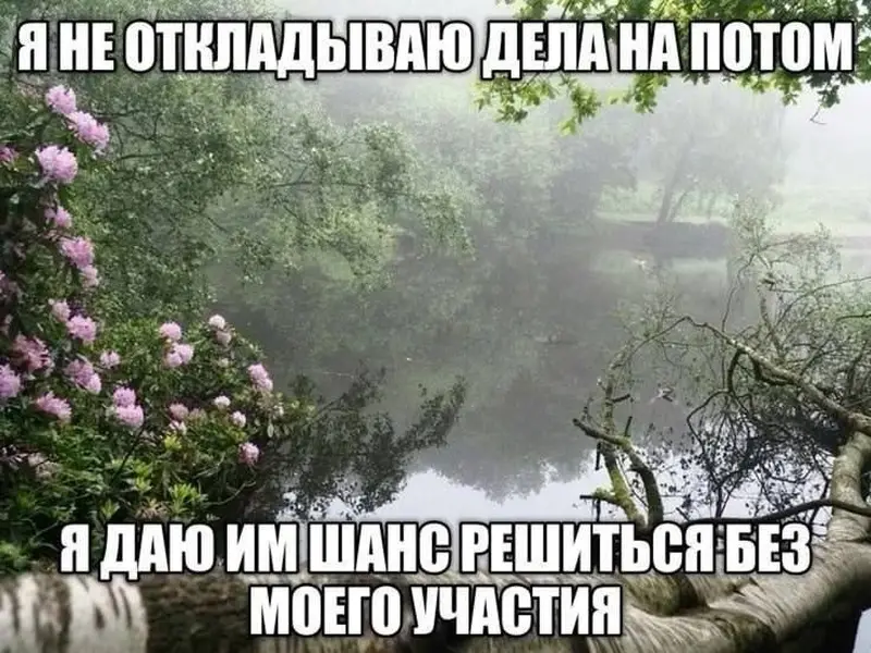Когда твой рабочий метод — дать проблеме немного подумать без тебя
