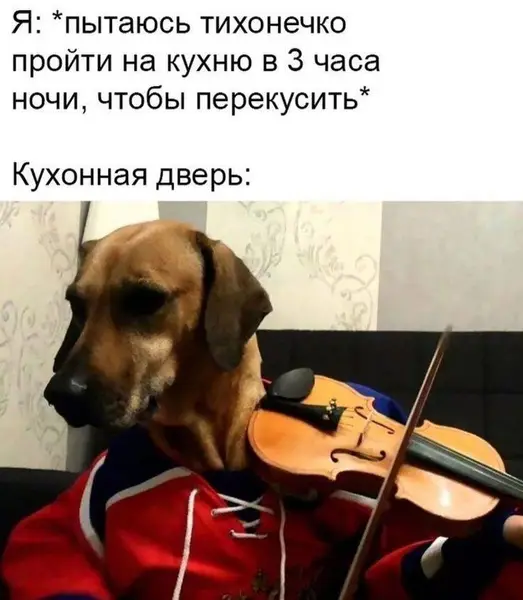 Когда в доме всё спит, кроме двери, которой нужно выразить себя через музыку