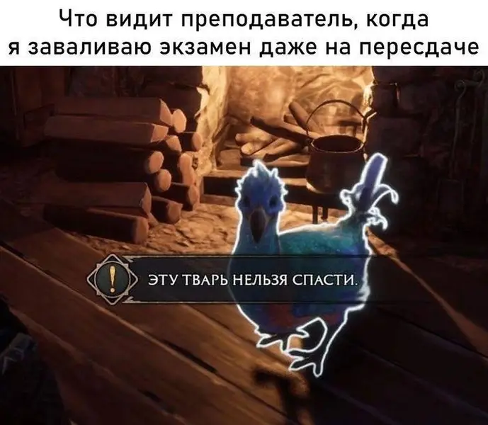 Когда ты не просто завалил... ты поставил под сомнение всю систему обучения