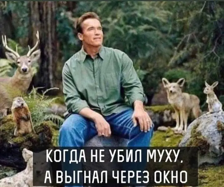 Эколог. Пацифист. Герой для всего животного мира 🐝🌿