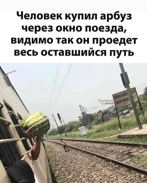 Иногда тебе нужен только арбуз и билет в один конец