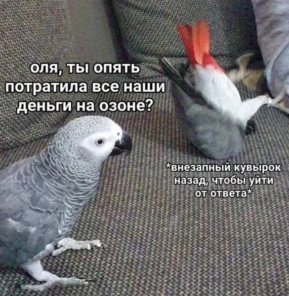 Бюджет: минус. Ответственность: кувырок назад.