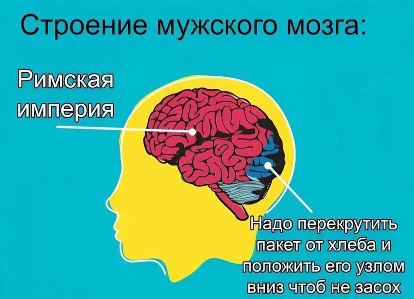 Римская империя пала, но пакет от хлеба всё ещё надо закручивать правильно