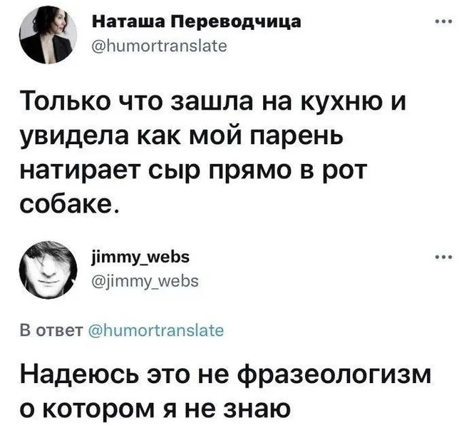 Русский язык богат, но не настолько, чтобы объяснить такое 🍝🦮🤔