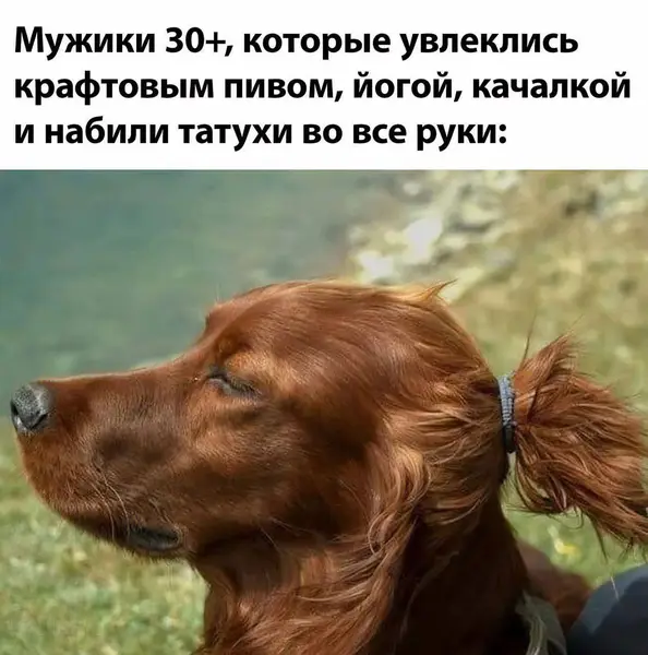 Живут на кефире и магнии. Спят на пробковых ковриках. Знают, что лучше IPA, только два IPA.