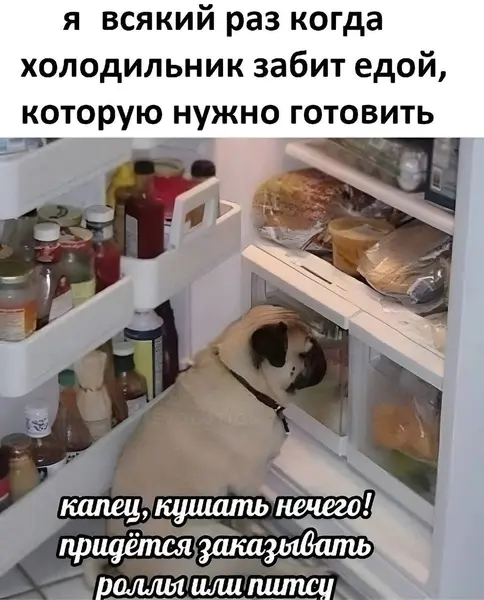 Кулинарное вдохновение покинуло чат. Осталась только доставка и жалость к себе.