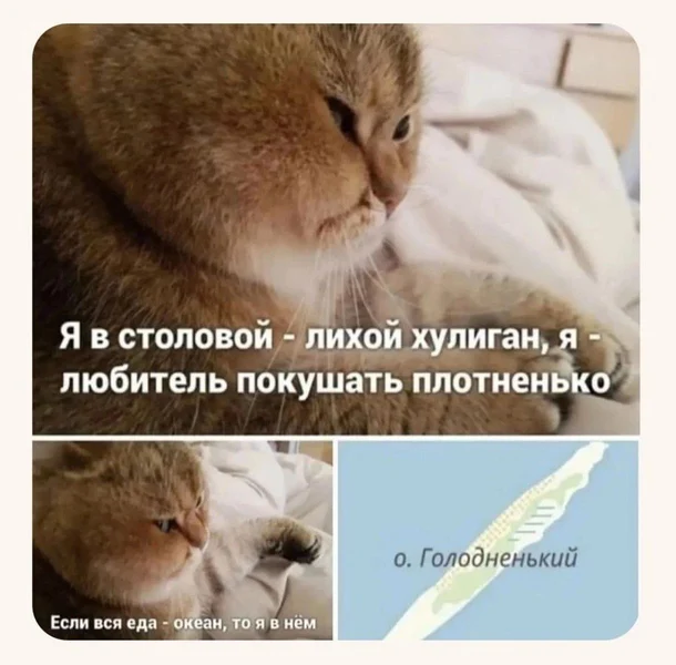 Когда еда — это жизнь, а ты капитан на острове Голодненький.