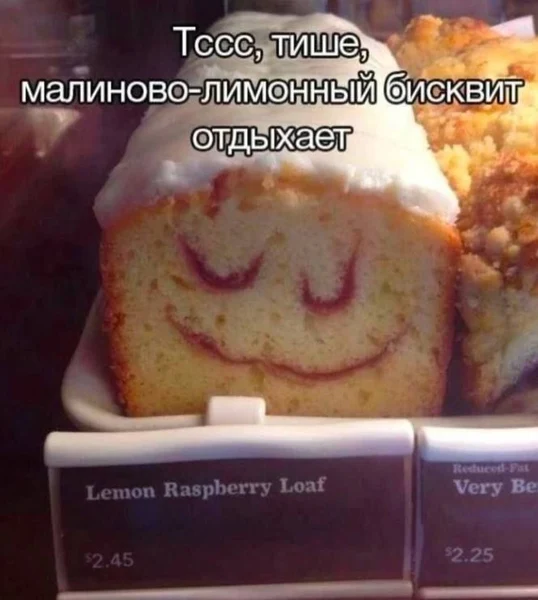 Бисквит, который нашёл дзен