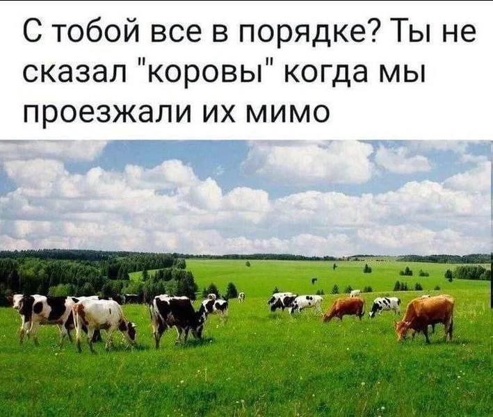 Настоящая тревога — это когда кто-то не сказал "коровы", проезжая мимо коров.