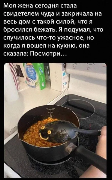 Она кричала, я думал — пожар. А это просто ложка с лицом.