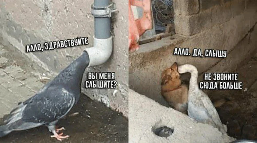Иногда лучше не начинать диалог.