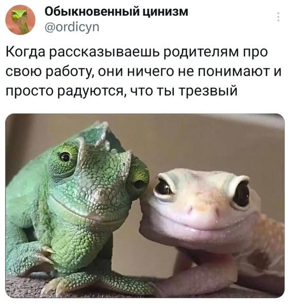 «Сын работает с интернетами… не пьёт — и слава богу»