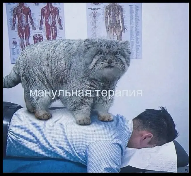 Курс «манульной» терапии: больно, но эффективно.