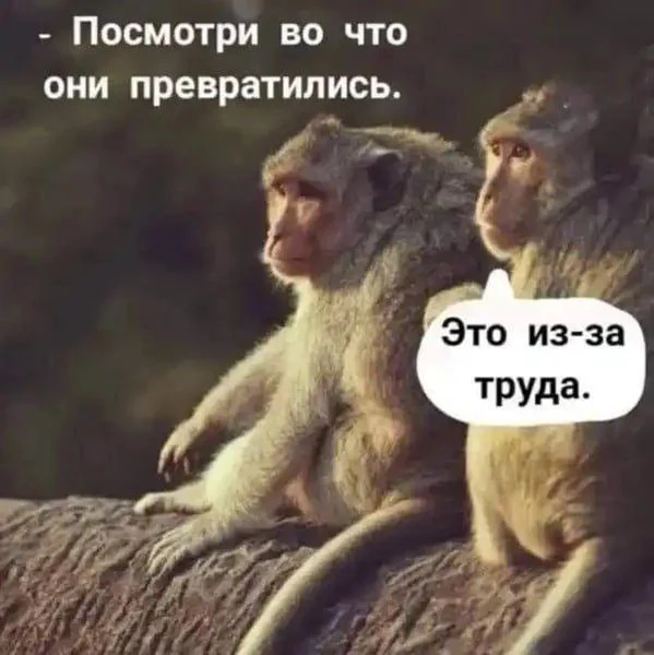 Обезьяна трудилась, трудилась... и снова стала обезьяной