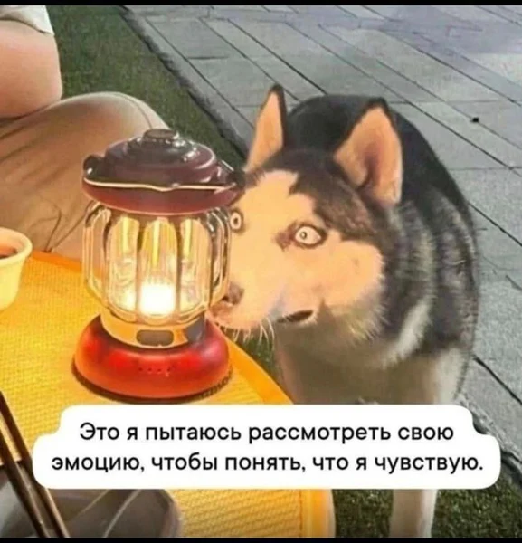 Эмоция где-то там… но, видимо, без фонарика не найти.