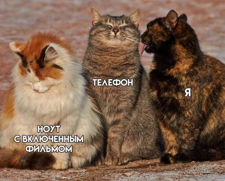 Фильм для фона, телефон — для души.