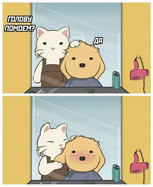 Когда забота оказывается гораздо мягче, чем вода