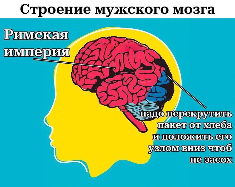 Мужская многозадачность: от Цезаря до хлебного пакета.