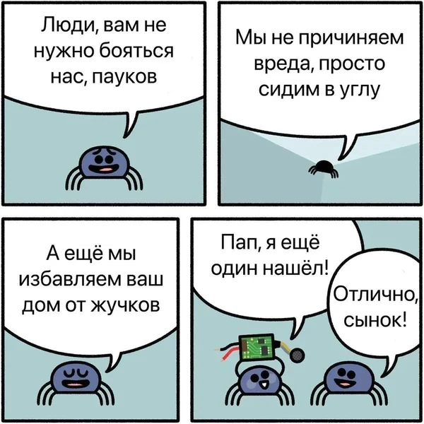 Пауки не такие уж страшные… особенно когда помогают от слежки.