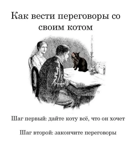 Переговоры с котом — это, конечно, условность. Он уже всё решил.