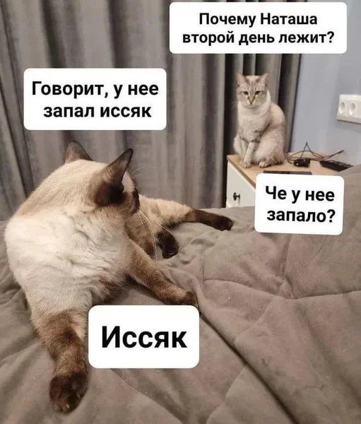 Запал ушёл, силы иссякли, лежим как Наташа.
