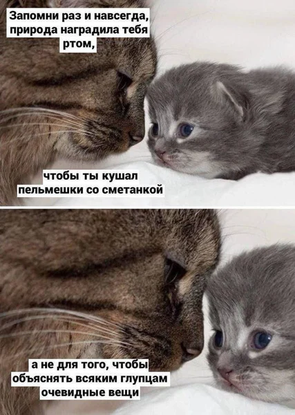 Мудрость приходит с усами
