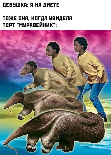 Она говорила «я на диете»… до тех пор, пока не увидела торт.