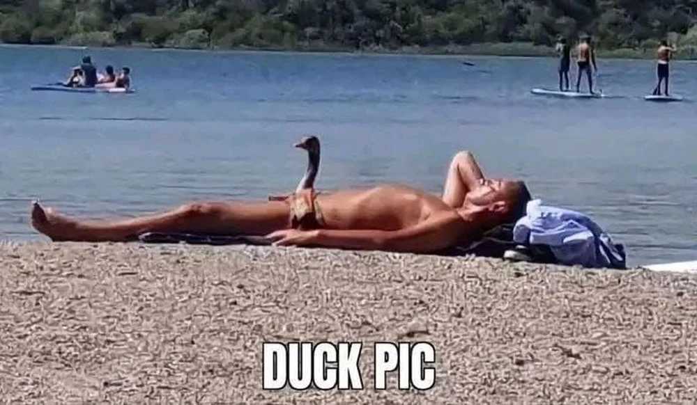 Duck pic — когда хотел сделать милое фото с уточкой, а получился... шедевр недопонимания.