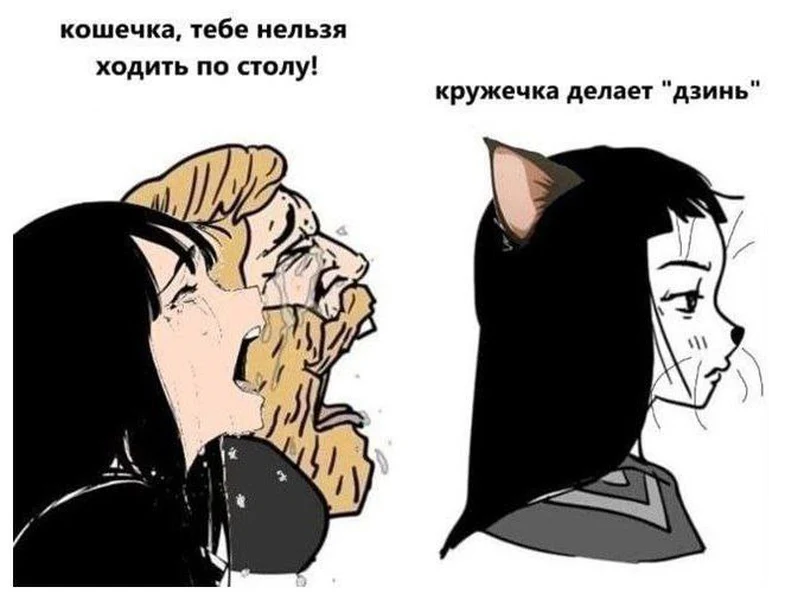 Когда тебе говорят «нельзя», но ты уже на столе и в пути к кружечке.