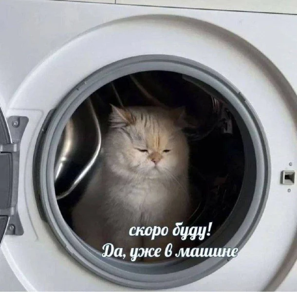 Когда пообещал, что уже выехал, но на деле только вошёл в режим отжима.