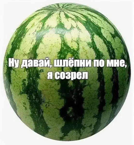 Арбуз, который знает себе цену. Готов к шлепкам и вниманию.