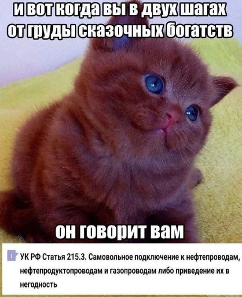 Когда уже почти стал нефтяным магнатом, но в дверь постучал Уголовный кодекс