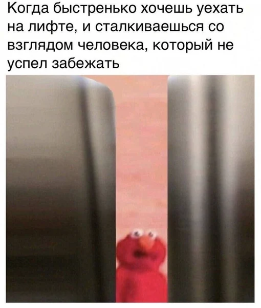 Этот взгляд преследует до сих пор.